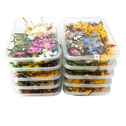 Set of Natural Dried Pressed Flowers