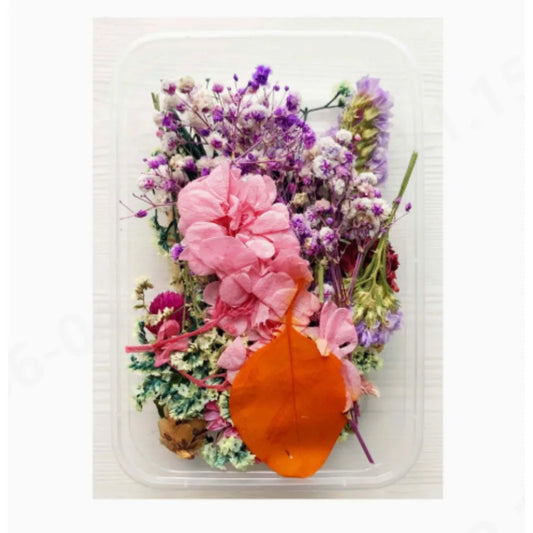 Set of Natural Dried Pressed Flowers